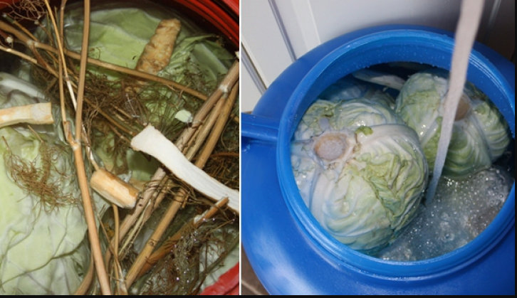 Varza murata ca la tara, reteta din batrani. Gospodinele nu uita sa puna la final ingredientul care da o aroma dementiala