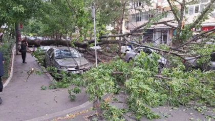 Bucurestiul, sub Cod Rosu de...