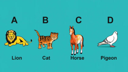 Testul care iti atinge sufletul:...