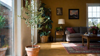 Atrage prosperitatea si norocul. De...