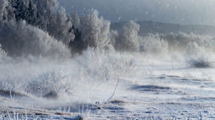 Iarna se intoarce: ANM anunta...